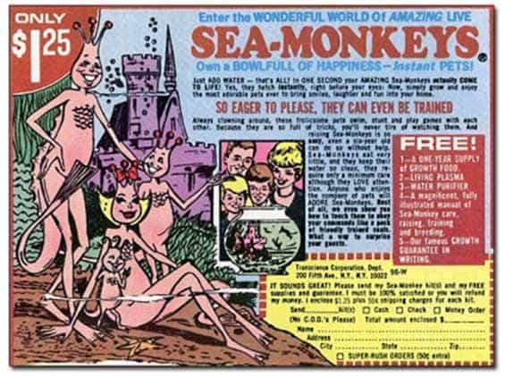 seamonkeys