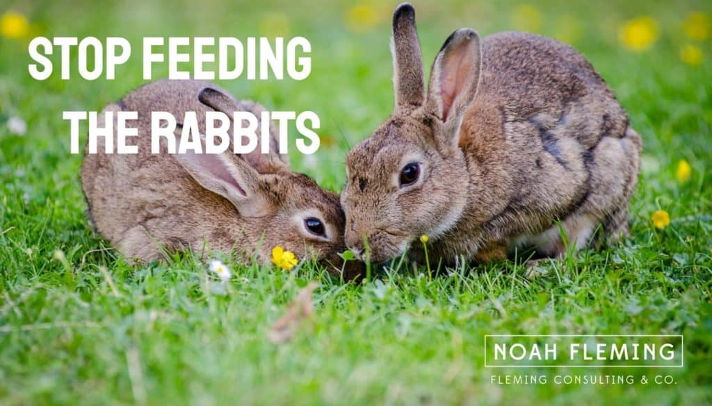 Stop Feeding The Rabbits